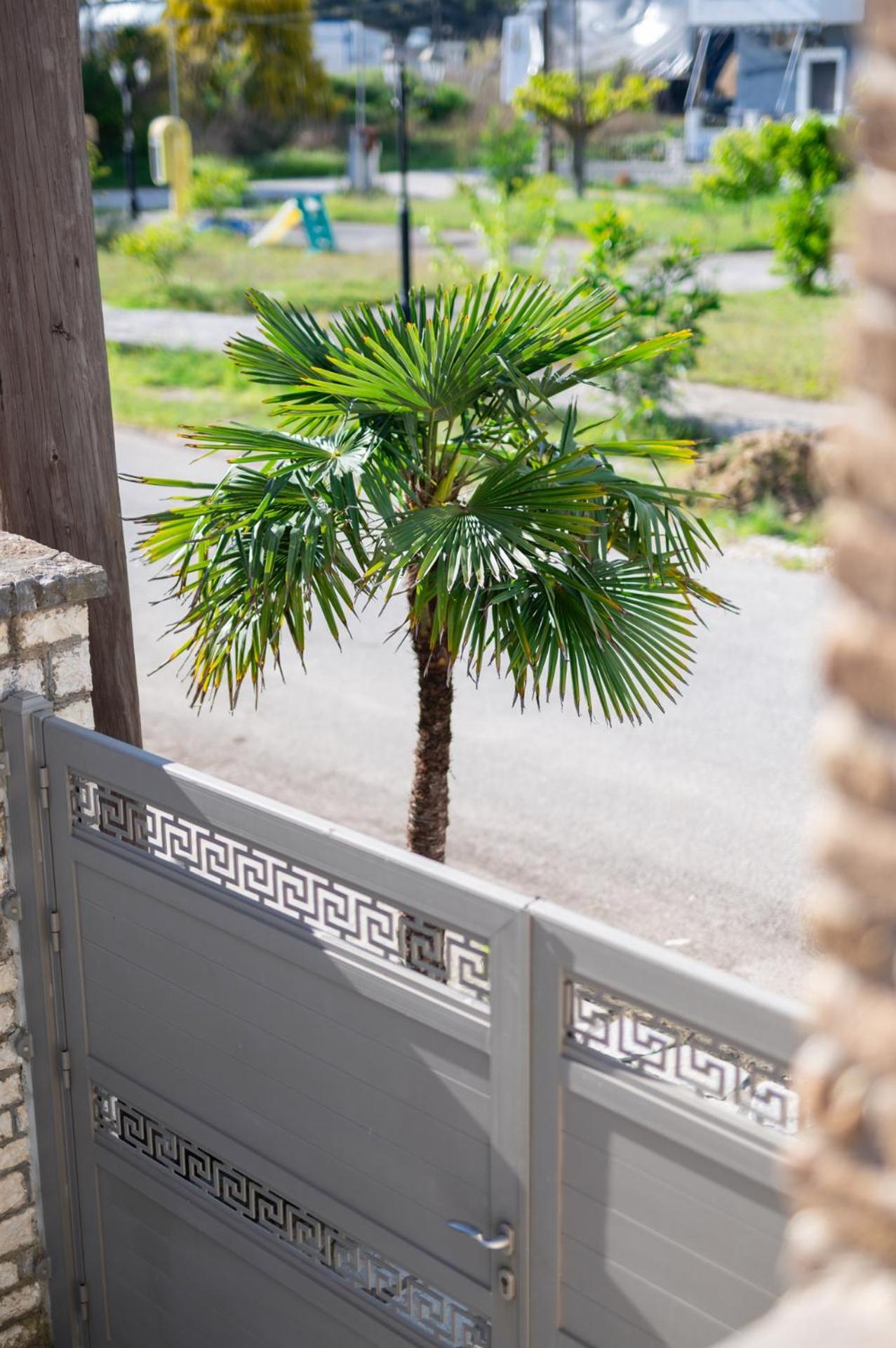 Andreas Aparthotel Ammoudia Bagian luar foto